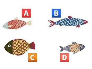 Trắc nghiệm: Bạn đang 'toàn tâm toàn ý' cho lĩnh vực nào của cuộc sống?