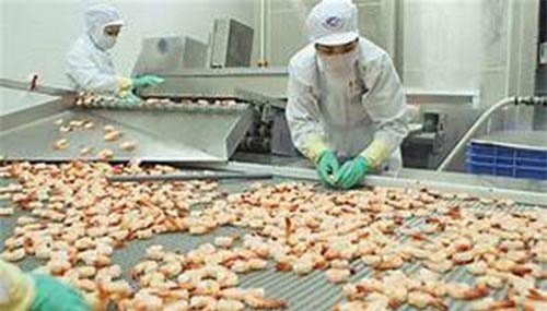 Xuất khẩu tôm sang Trung Quốc tăng trưởng trở lại