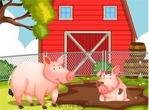 Câu đố tìm chi tiết bất hợp lý trong bức tranh