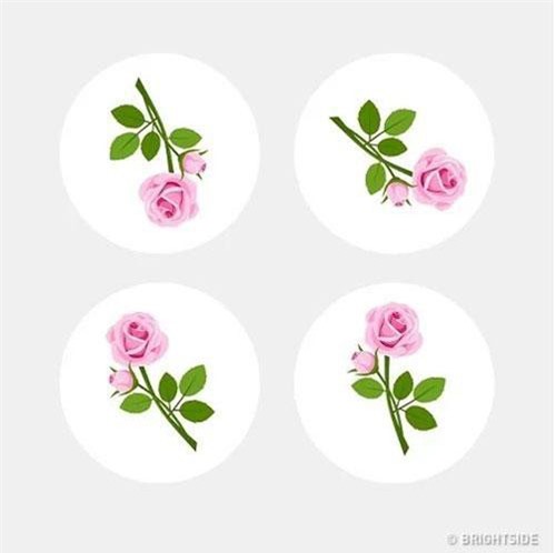 Câu đố vui đòi hỏi sự tập trung và tư duy logic