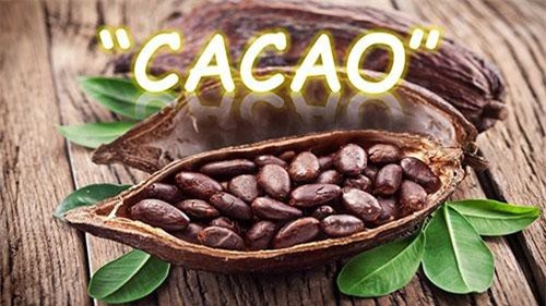 Giá ca cao lên mức hơn 57 triệu đồng/tấn