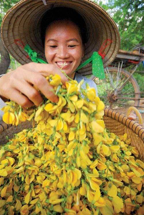 Những món ngon, thuốc quý từ bông điên điển