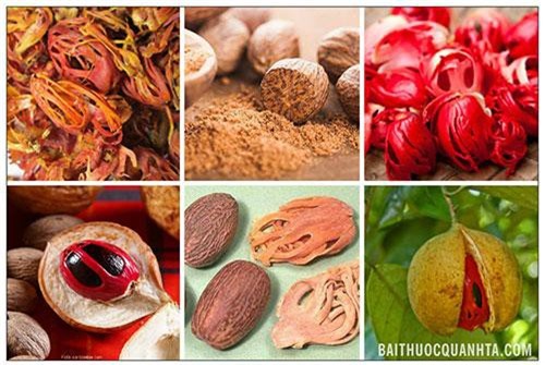 Rợn người loại quả nhìn như con mắt của ác quỷ