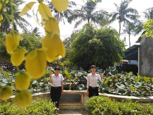 Chẳng son phấn cầu kỳ, bộ ảnh của 2 nữ sinh vẫn được nghìn like vì 'đơ khó đỡ'