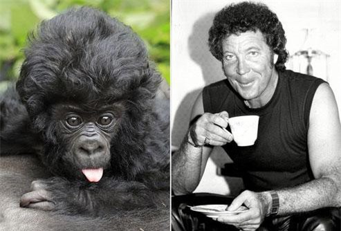 'Điêu đứng' vì khỉ con tóc xoăn đẹp trai như ca sĩ