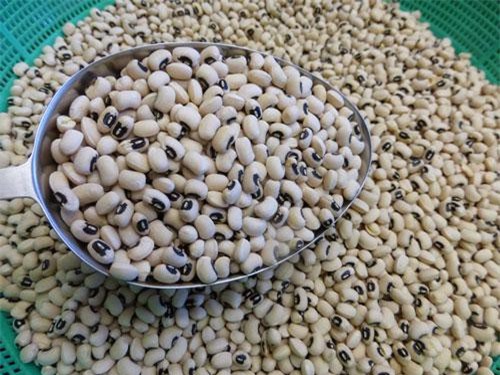 Hướng dẫn làm bột ngũ cốc cho người già