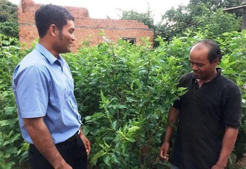 Lâm Đồng: Đinh Văn đổi thay từ nghề trồng dâu, nuôi tằm