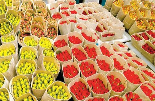 Lâm Đồng xuất khẩu 65% hoa và 49% rau sang Nhật Bản