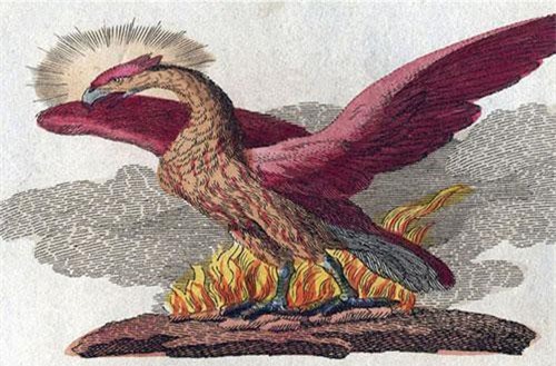 Những sinh vật huyền bí nổi tiếng thế giới