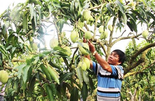 Tây Ninh: 'Trao cần câu hơn xâu cá' để phụ nữ khởi nghiệp