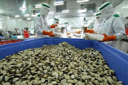 Thêm 3 loại thủy sản Việt Nam được xuất khẩu vào Trung Quốc