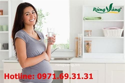 Bà bầu uống nước lá đinh lăng, lợi hay hại?