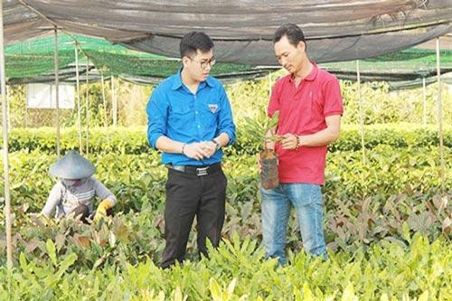 Đắk Lắk: Sức bật cho kinh tế hợp tác từ những người trẻ khởi nghiệp