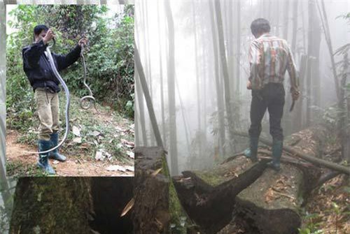 Liều mạng vào rừng sâu để vồ… 'thần chết'