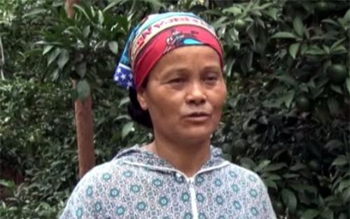 Sơn La: Làm giàu từ trồng cam Vinh