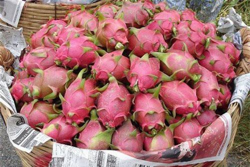 Xuất khẩu rau quả sang Trung Quốc giảm mạnh