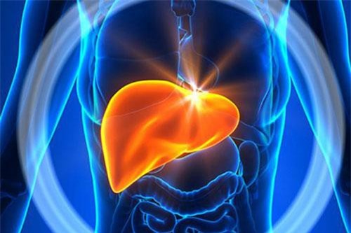 Gan cần giải độc: Đây là 5 thực phẩm làm mát gan chuẩn nhất, chớ dại bỏ qua