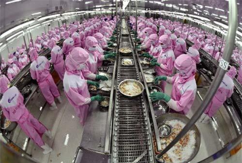 Giải bài toán nhân lực ngành thủy sản