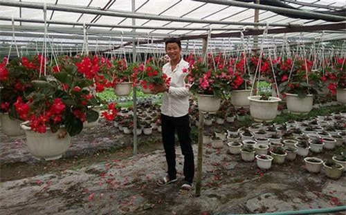 Quảng Nam: Học ra thất nghiệp, cử nhân tức chí về trồng hoa, lãi 20 triệu/vụ