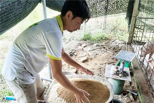 Quảng Ngãi: Làm giàu bằng mô hình chăn nuôi gia súc, gia cầm sạch