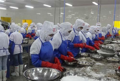 Tạo nguồn tôm sạch, tận dụng cơ hội ở EU, Mỹ