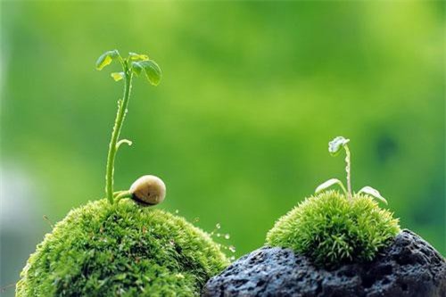 5 việc nhất định không được làm từ sau tuổi 50 để cuộc đời về sau yên ổn