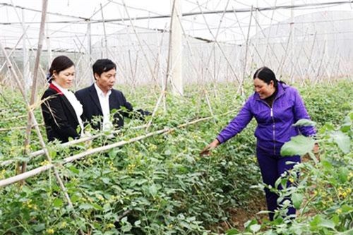 Bắc Giang: Điểm sáng nông thôn mới ở Việt Yên