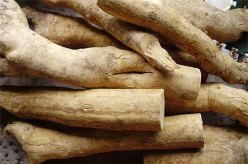 Cây mật nhân: 'Thần dược' giúp quý ông lấy lại phong độ