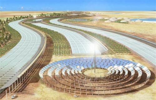 Choáng ngợp với sa mạc Sahara đầy thực phẩm sạch