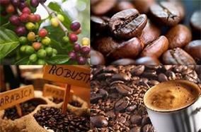 Đẩy mạnh xuất khẩu chè và cà phê sang Trung Quốc