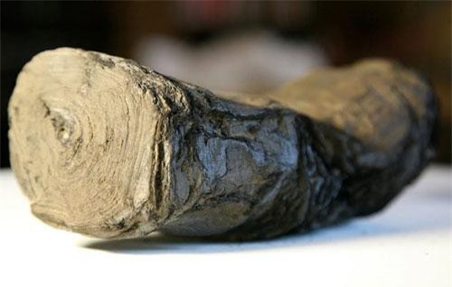Đi tìm bí ẩn bên trong cuộn giấy cổ bị núi lửa thiêu đốt thành than cách đây 2000 năm