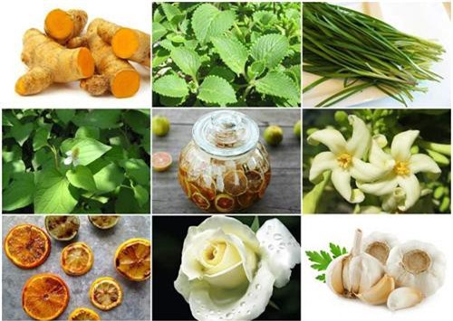 Những mẹo trị ho cho bé tại nhà, không phải dùng thuốc kháng sinh