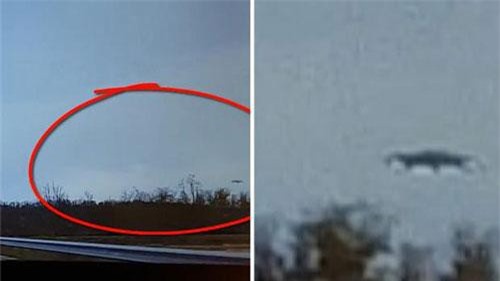 Tá hỏa phát hiện UFO lơ lửng trên cây