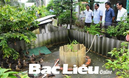 Bạc Liêu: Nuôi loài không phải ngan, chẳng phải vịt, thịt ngon, làm cảnh hay, thu nhập cao