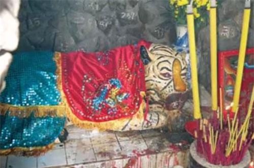 CLIP: Ly kỳ chuyện về ông Hổ trả ơn người ở miền Tây