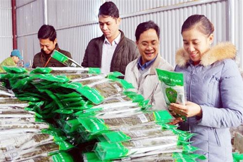 Hà Giang: Nông dân đưa sản phẩm của HTX ra nước ngoài