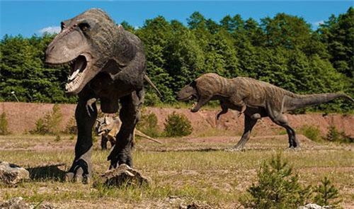Khám phá cực khó tin nhưng có thật về khủng long (phần 1)
