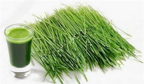 Lá hẹ xoa vào nướu có giúp trẻ giảm đau khi mọc răng?