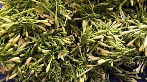 Loại hoa thường cắt bỏ đi sấy khô thành đặc sản, thuốc quý