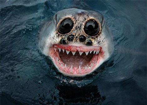 Sốc những quái vật lai khiến con người khiếp đảm