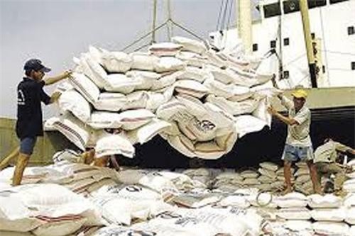 Vì sao giá gạo xuất khẩu của Việt Nam bị giảm?