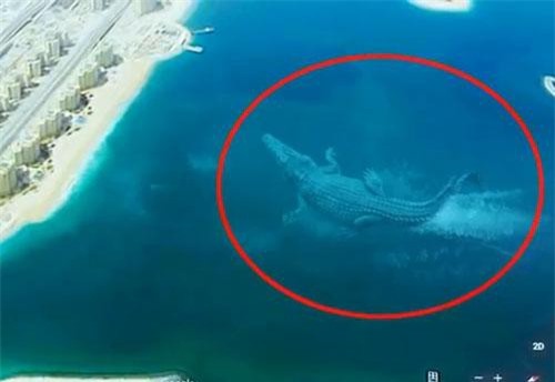 7 loài thủy quái khổng lồ bất ngờ được Google Earth phát hiện