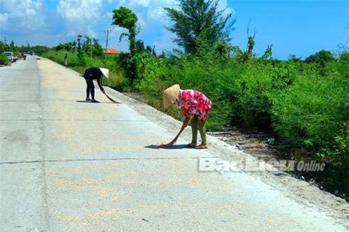 Bạc Liêu: Ngư dân trúng mùa con ruốc