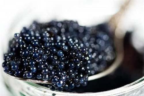 Khám phá món trứng cá đen xì cực sang chảnh, chỉ dành cho nhà giàu