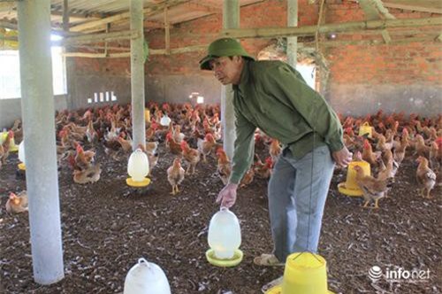 Qu&#x1EA3;ng B&#xEC;nh: V&#x1EE1; n&#x1EE3;, &#x27;l&#xE3;o kh&#xF9;ng&#x27; bi&#x1EBF;n &#x111;&#x1ED3;i c&#xE1;t tr&#x1EAF;ng th&#xE0;nh trang tr&#x1EA1;i b&#x1EA1;c t&#x1EF7;