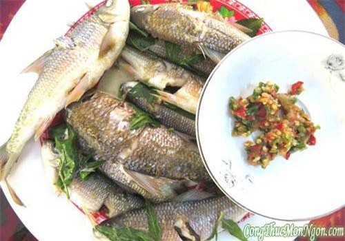 Sự thật thú vị về cá niên đặc sản Quảng Ngãi