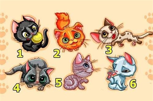 Trắc nghiệm: Chú mèo nào dưới đây là hiện thân của bạn?