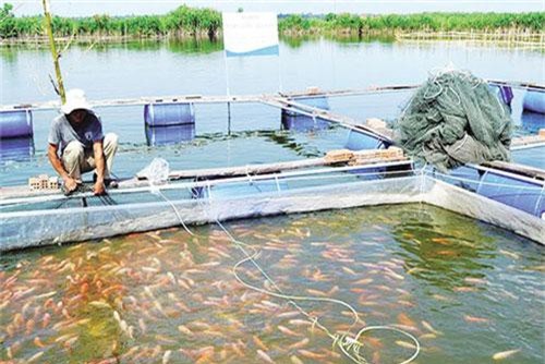 Bắc Ninh: Tìm hướng tháo gỡ khó khăn cho HTX nông nghiệp