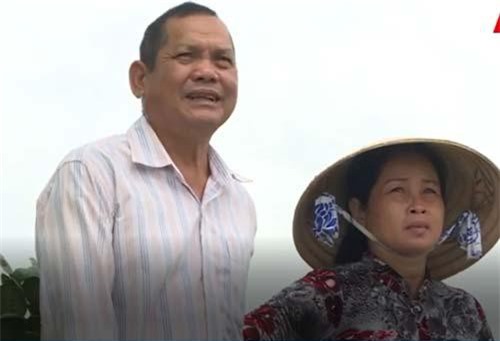 Đồng Tháp: Lão nông làm giàu từ mô hình nuôi cá tra giống