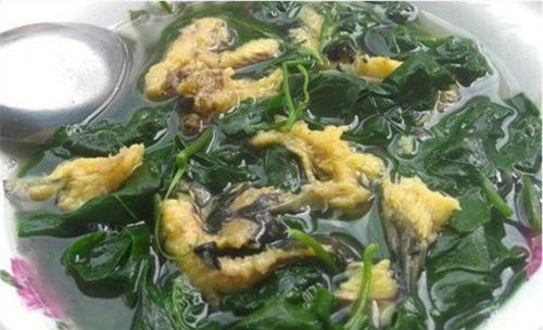 Rau mồng tơi: Món ngon, vị thuốc tốt ngày hè